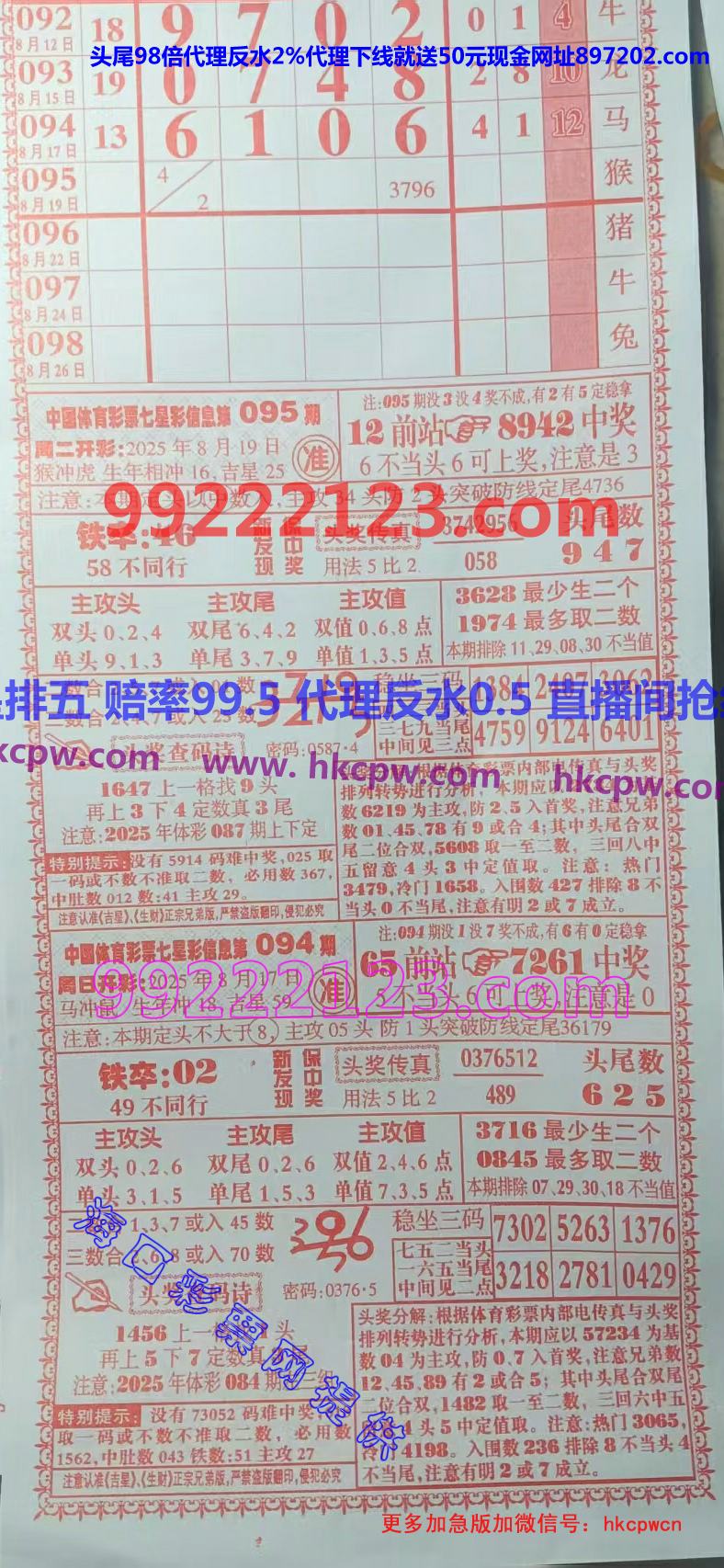 ���� (1).jpg