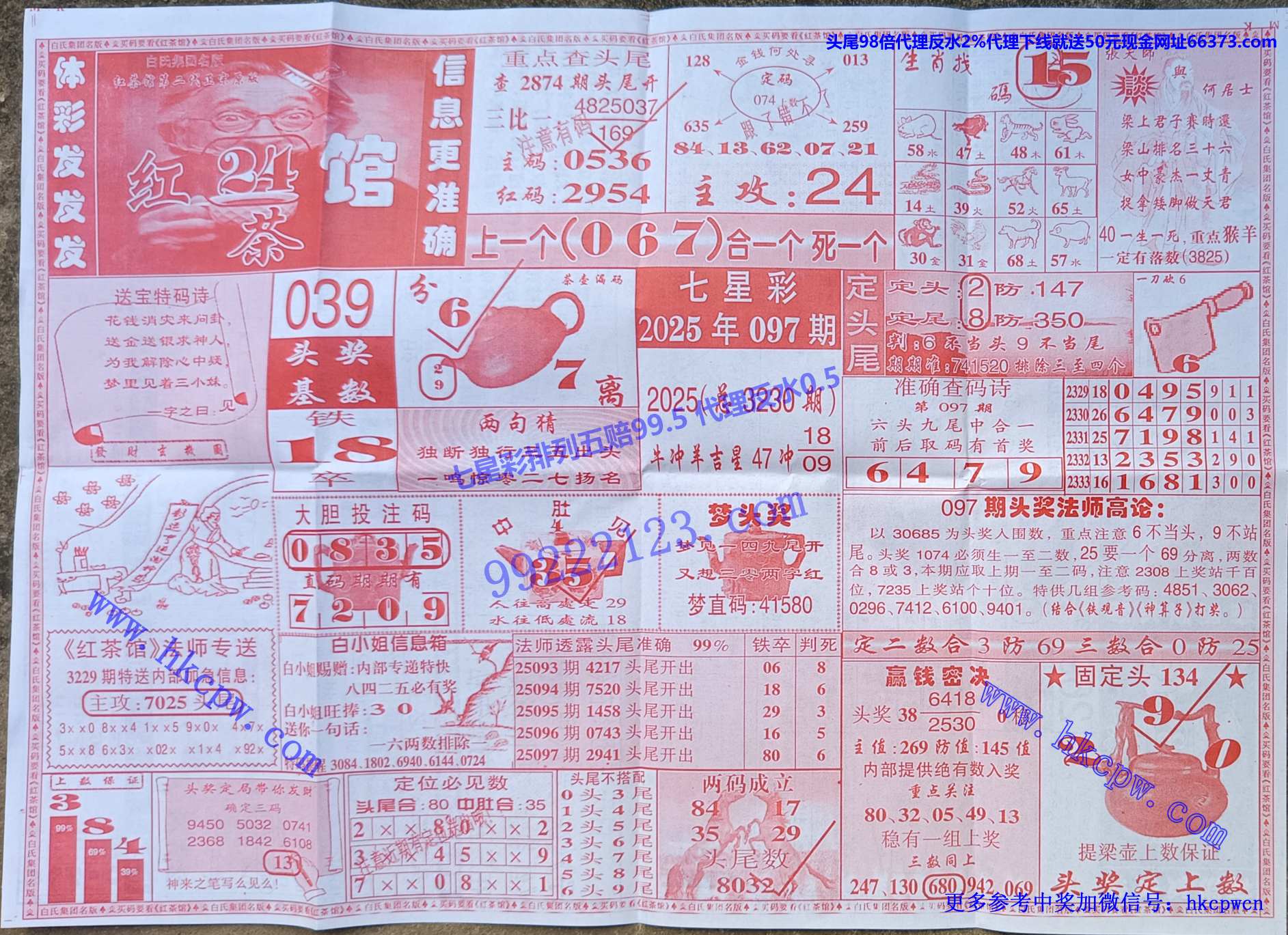 ���� (1).jpg