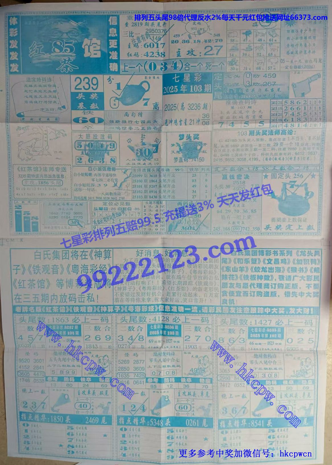 ���� (2).jpg