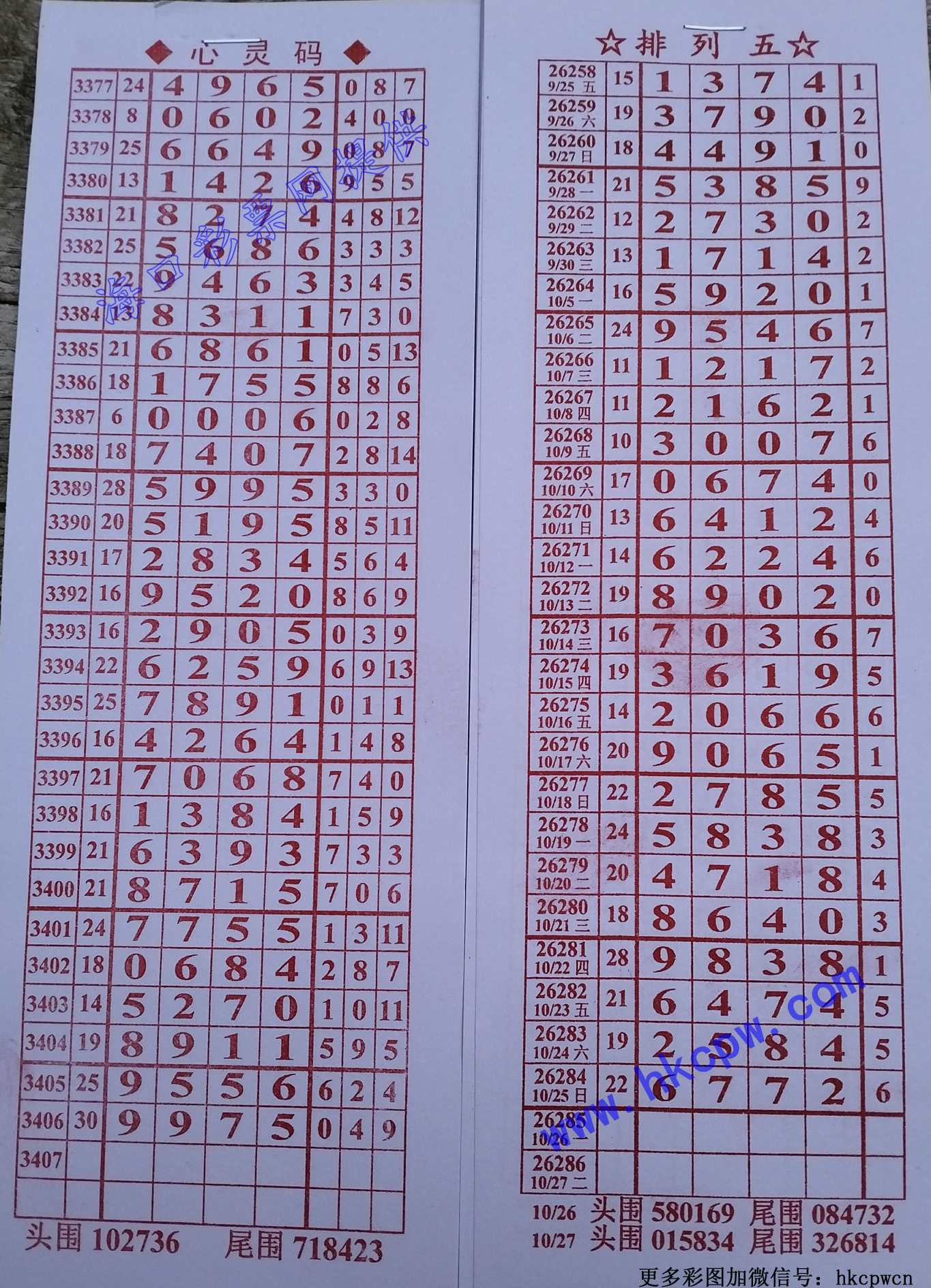 ����.jpg